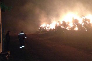 В нашумевшем Кривом Озере произошел масштабный пожар