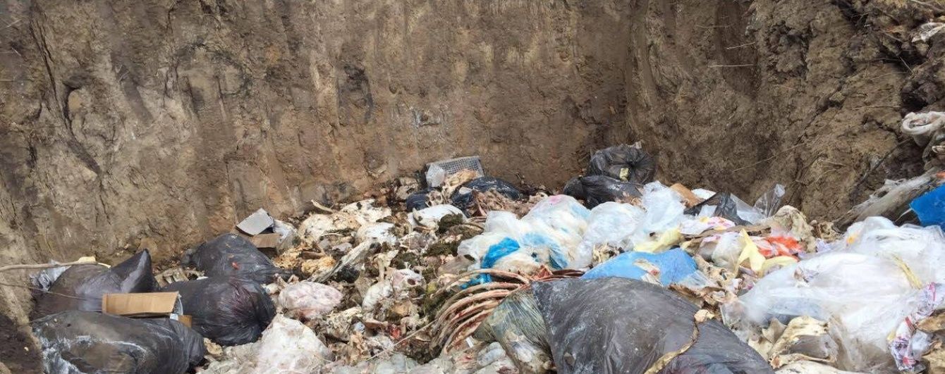На территории мясокомбината на Киевщине обнаружили огромный скотомогильник