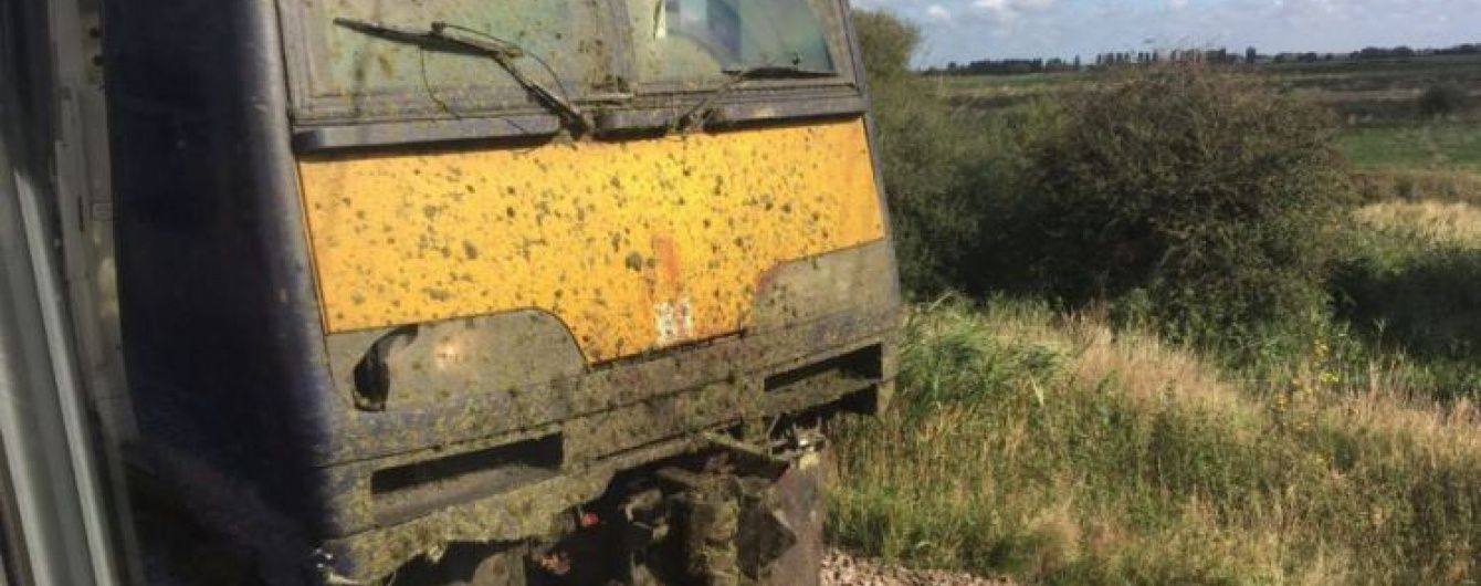Потяг із вболівальниками "Арсеналу" врізався у стадо корів