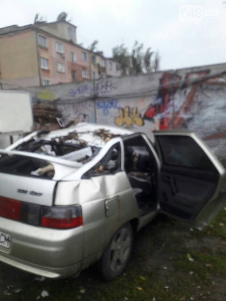 одеса дерево