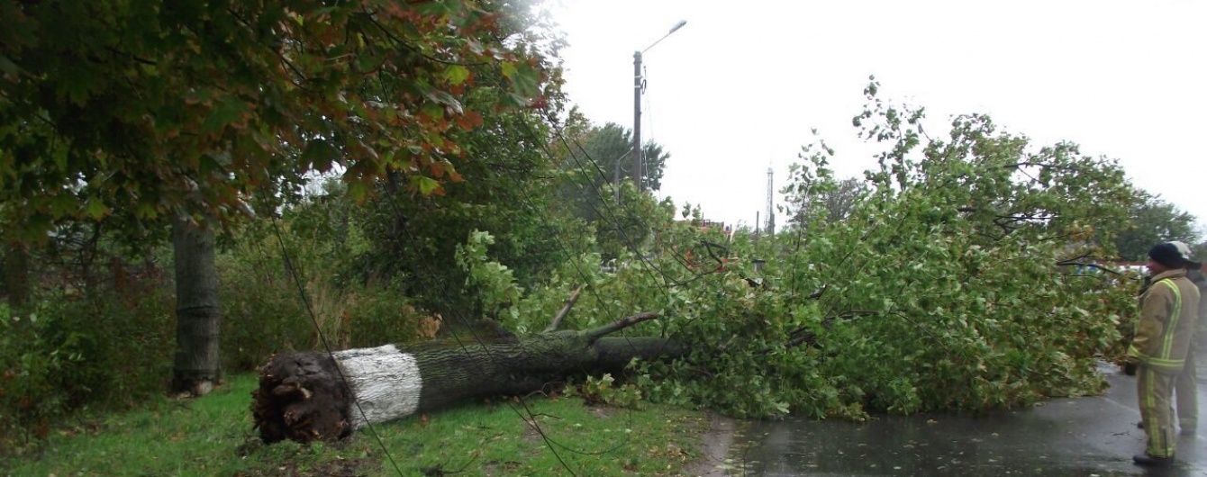 Одесу накрила руйнівна негода. Дивіться наслідки в інфографіці