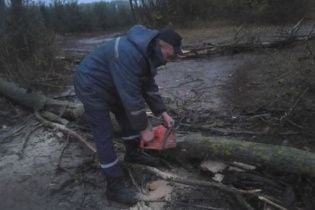Через сильний вітер на Вінничині дерево впало на 16-річну дівчину