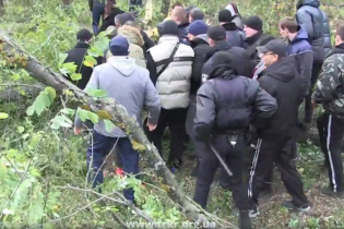 Під Києвом спалахнув конфлікт із забудовником: тітушки з бензопилками знищили старі дуби