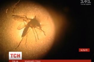 У Бельгії дослідники навчилися вбивати комарів страхом