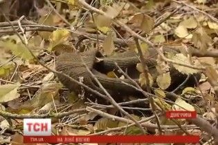 Юні контрактники ціною власного життя захищають Водяне на Донбасі