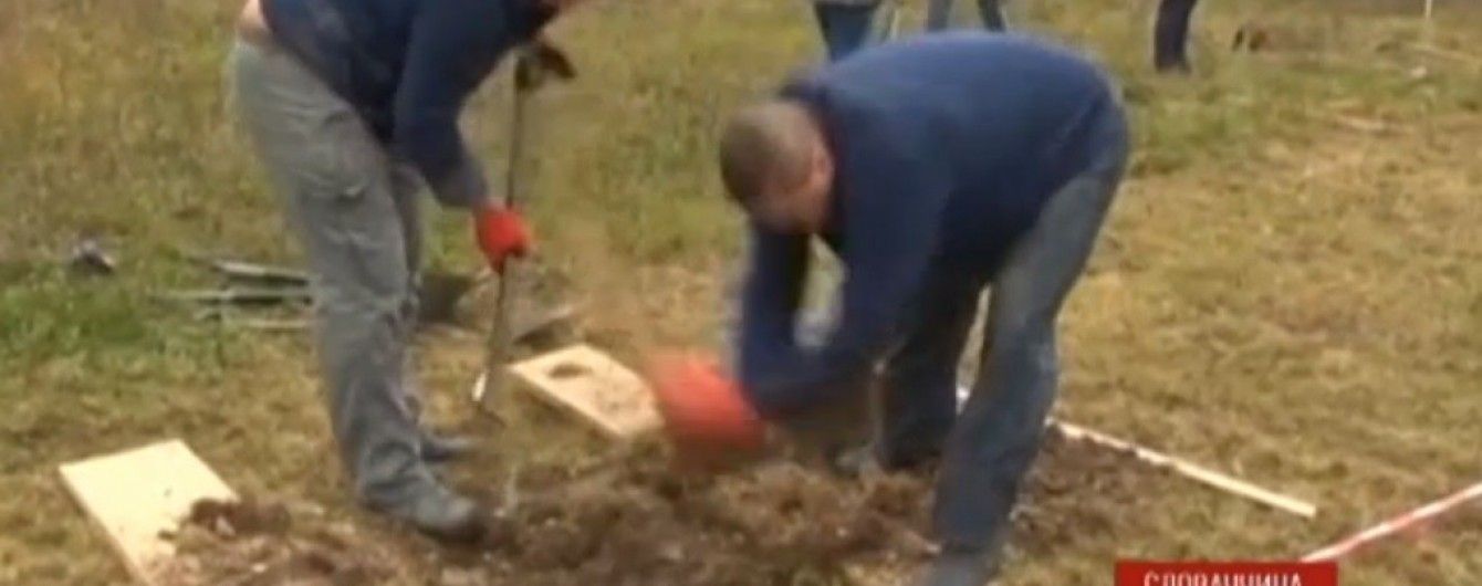 Хто викопає найгарнішу могилу. У Словаччині влаштували конкурс серед гробарів