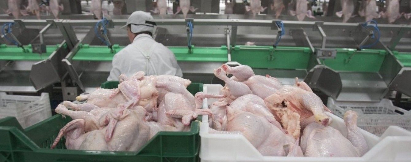 Украинские производители накачивают животных антибиотиками, которые разрушают организм человека