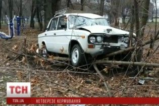У Дніпрі ВАЗ з п'яним водієм збив чоловіка на спортмайданчику та розбився об дерево