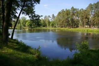 Посадовець часів Януковича на суді покаявся за масштабний дерибан землі у Пуща-Водиці