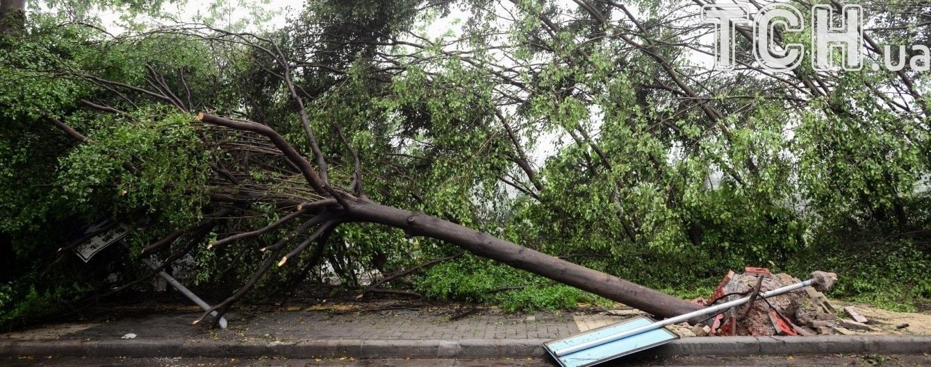 У Бельгії потужний ураганний вітер повикручував дерева з землі