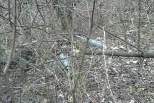 Десятки мін та снарядів. У зоні АТО знайшли схованки з боєприпасами