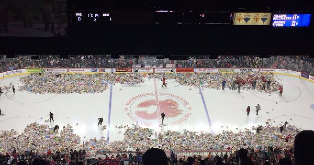 Teddy Bear Toss 2015 зібрав 28,815 тисяч плюшевих ведмедиків. / © twitter.com/WHLHitmen