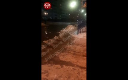 На дороги хлынули потоки воды: в Киеве затопило очередную улицу (видео)