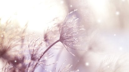 Зимний пейзаж