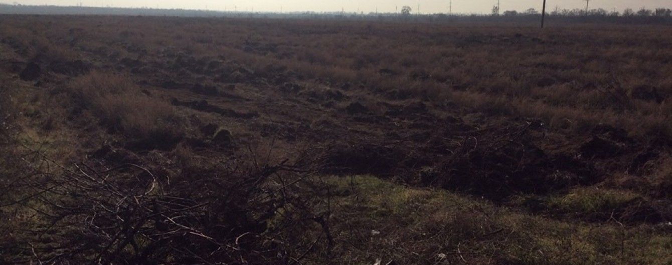 На Одещині зловмисники бульдозером викорчували виноградники відомого винороба з Франції