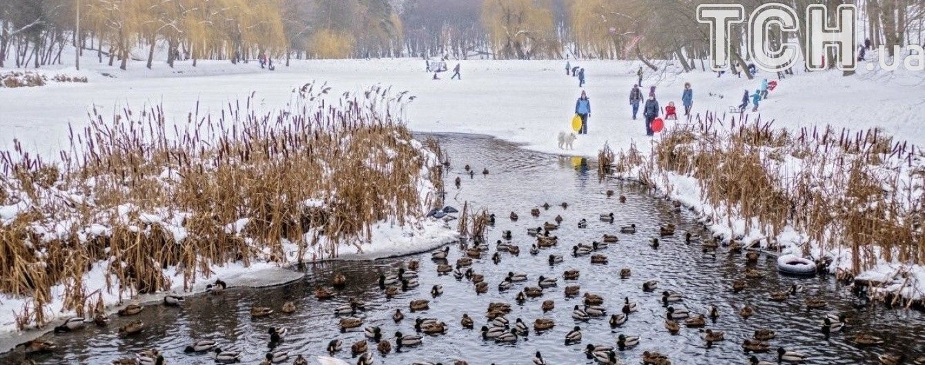 В Україні послабляться сильні морози. Прогноз погоди на 20 грудня
