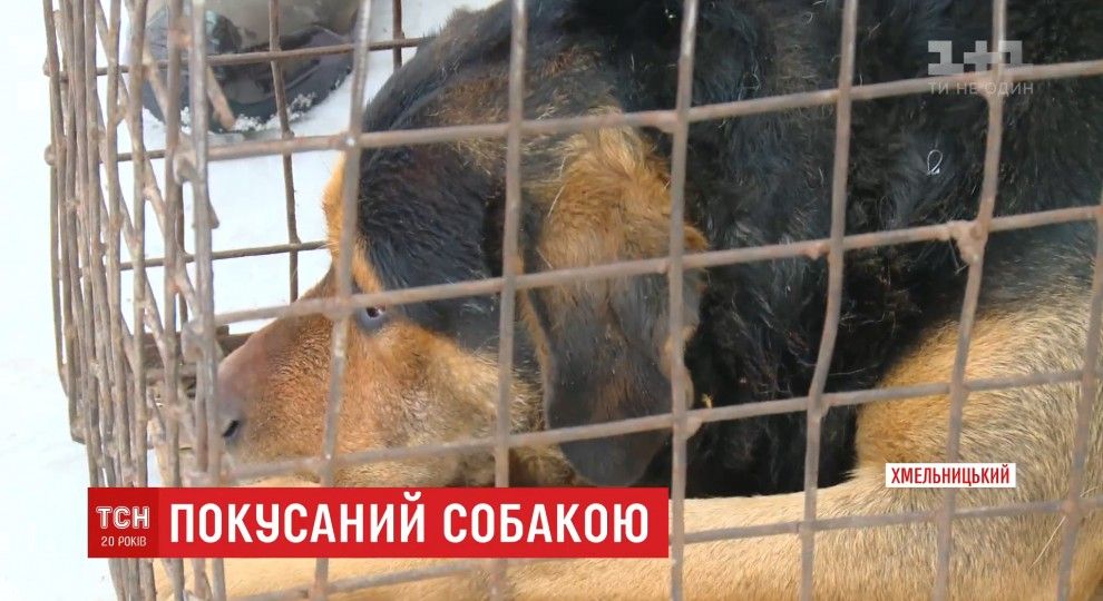 Приколи Приколи