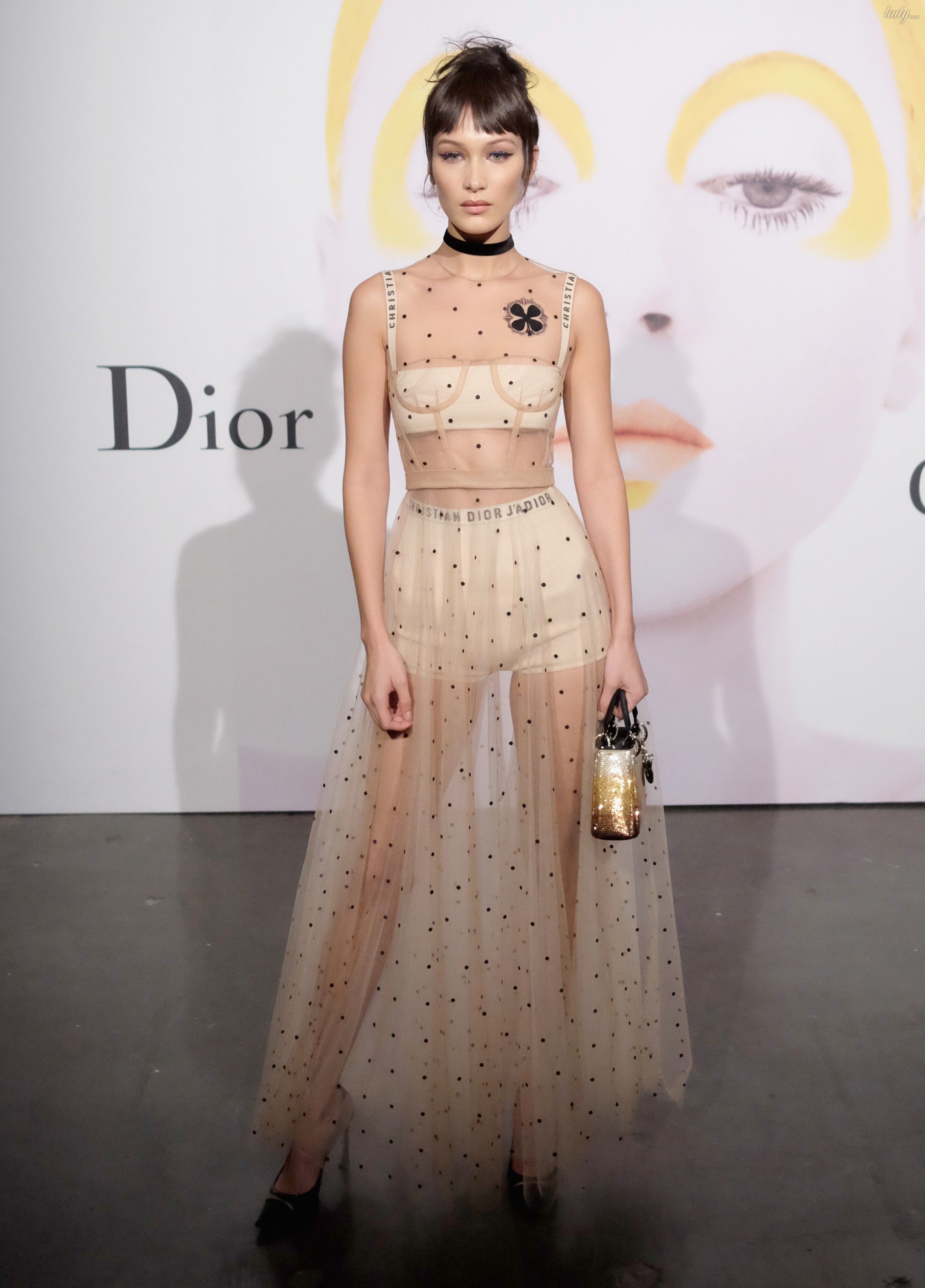 Звезды в платьях от Dior_6