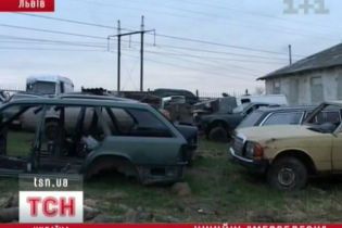 На Львівщині знайшли відстійник крадених автомобілів (відео)