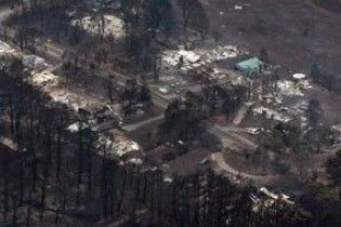 В Австралії лісова пожежа знищила вже 30 будинків