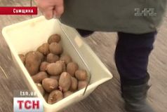 Тимошенко обвиняет Януковича