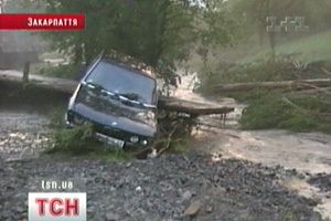 В Австралии родился слоненок