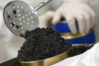 У Росії прирівняли продаж чорної ікри до торгівлі кокаїном
