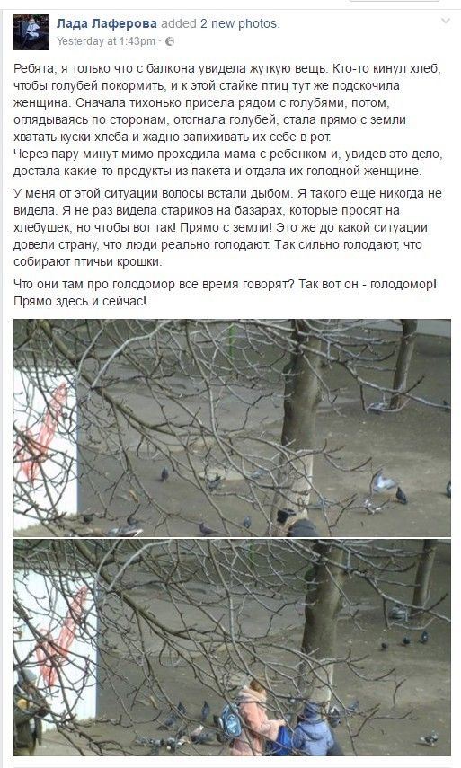 Голуб_скріншот
