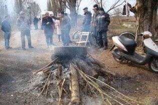 Экологическая катастрофа. На Волыни под открытым небом гниют трупы свиней и лошадей