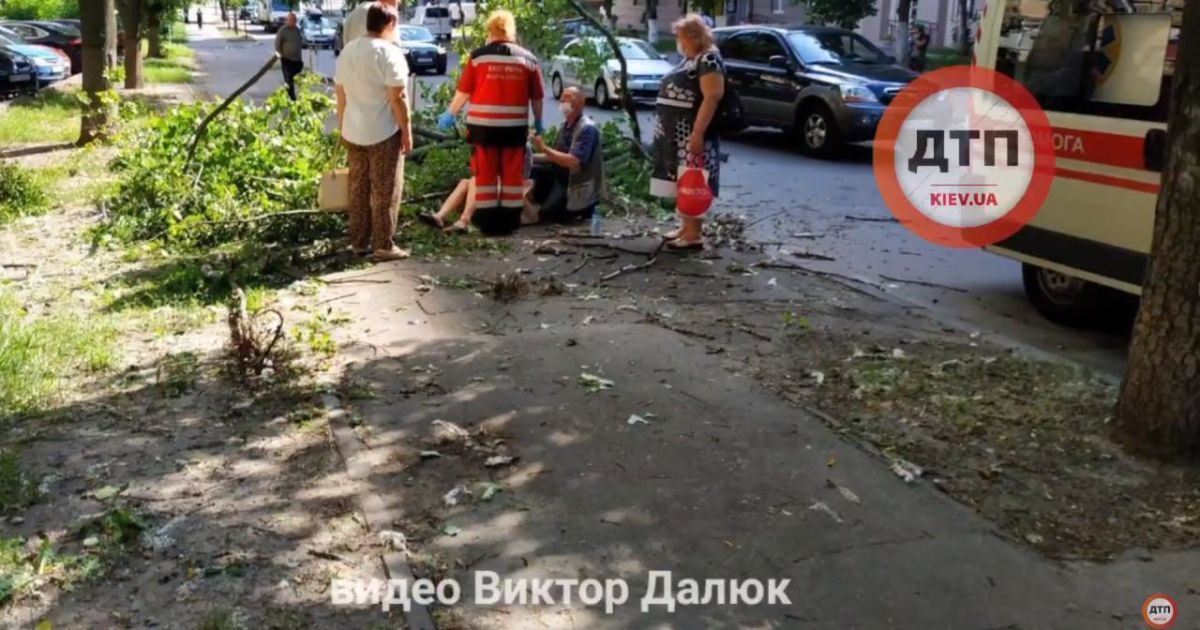 дерево