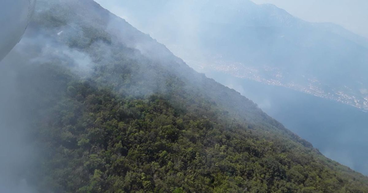 В Черногории пылают леса: украинские спасатели помогают тушить огонь