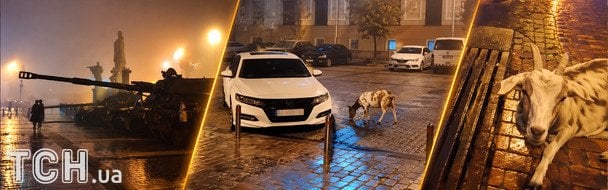 Чия коза гуляє біля МЗС? : історія киянина, який вигулює тварин в центрі Києва