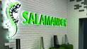 Salamander: німецькі металопластикові вікна тепер і в Одесі