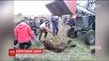 На Львівщині провели спецоперацію з порятунку коня, який ногами провалився у каналізаційний люк