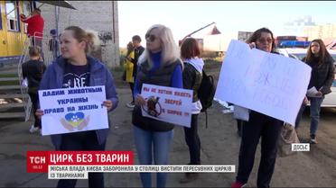 В Києві заборонили пересувні цирки з тваринами