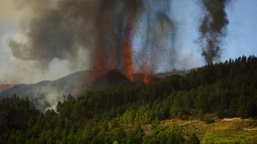 Виверження вулкану в Іспанії_4 / © Associated Press