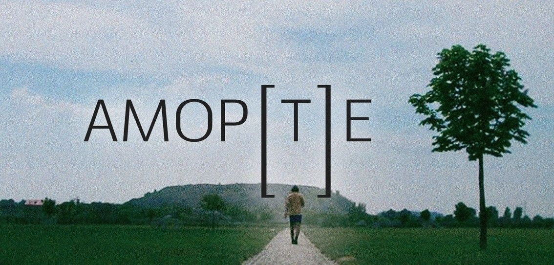 аморте