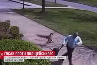 Гусак влаштував "замах" на поліцейського в США