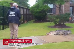 У двір до американської родини вдерся 90-кілограмовий алігатор