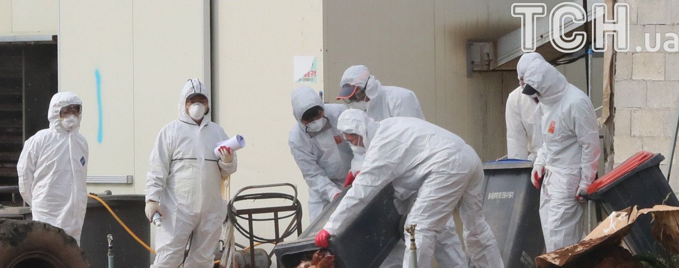 МЗС радить українцям утриматися від поїздок до Малайзії через пташиний грип