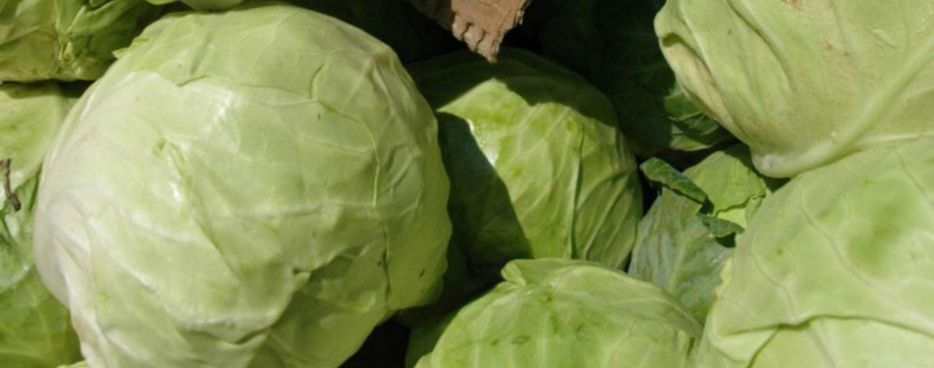 В продаже резко упали цены на молодую капусту