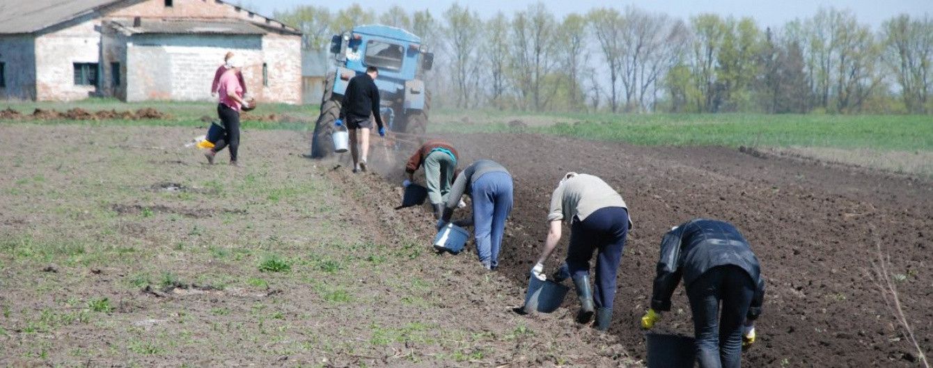 Отмена моратория на продажу земли: сколько гектаров и кому можно будет купить