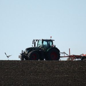 На Харківщині під час сільгоспробіт у полі знайшли труп