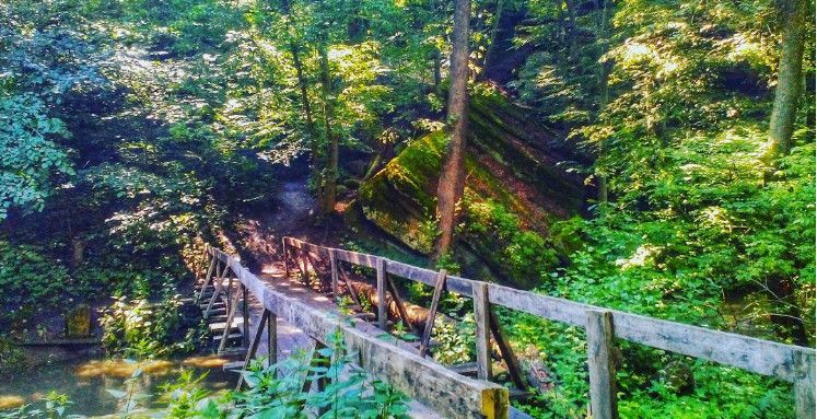 Гайдамацький Яр, село Буша