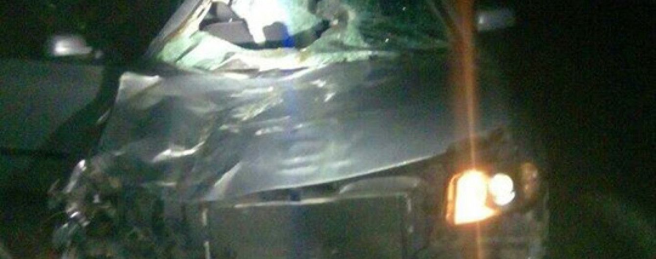 На Львовщине женщина на Volkswagen сбила лошадь, пострадали двое людей