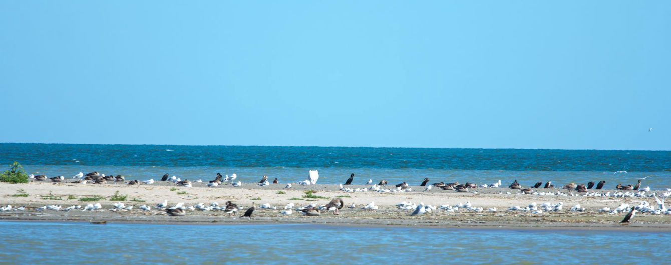 Невідомі курорти Одеської області на Чорному морі та річці Дунай