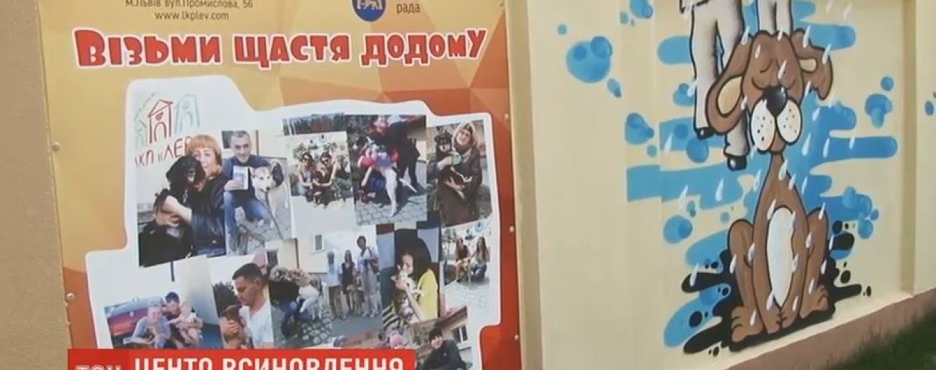 Центр усыновления бездомных животных открыли во Львове