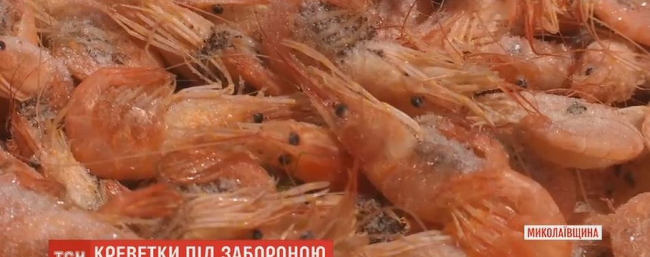 Прогалина в законі залишила без заробітку цілі риболовецькі поселення на Миколаївщині