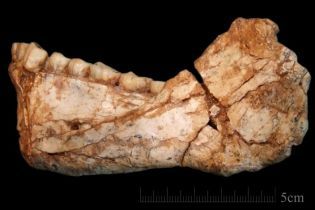 Вчені знайшли у Марокко найстаріші останки Homo sapiens