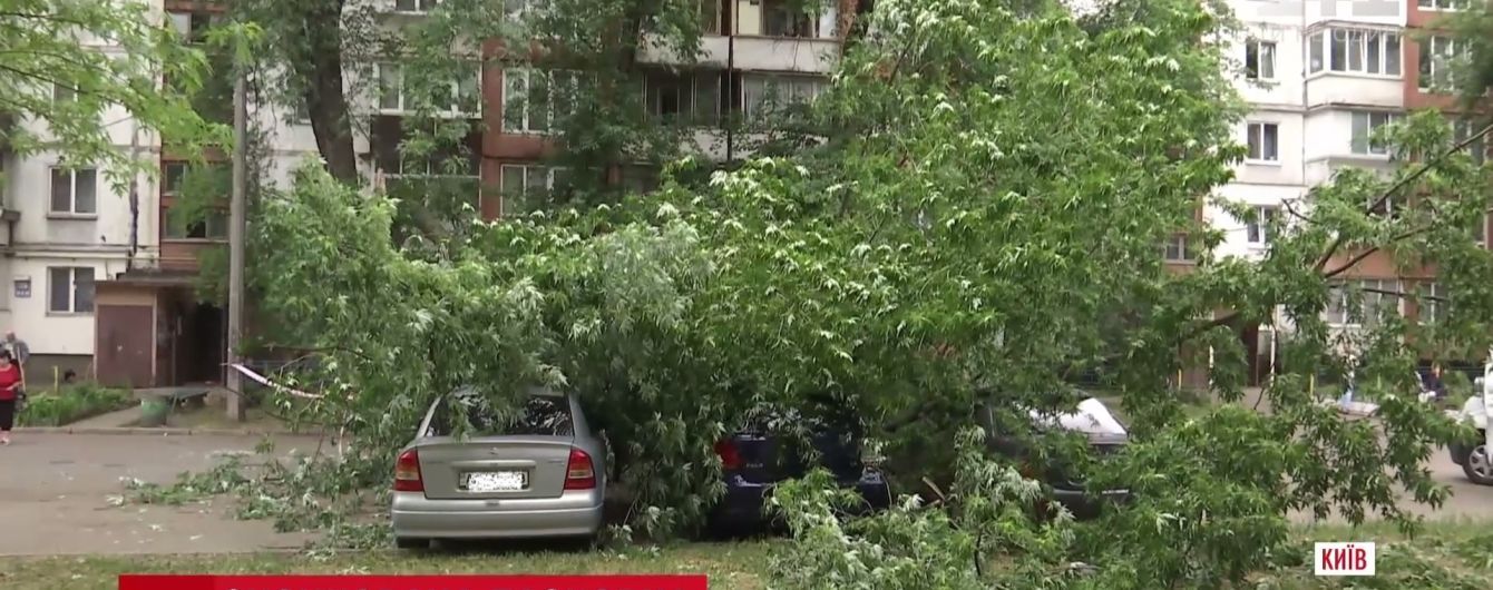 У Києві дерево впало на парковку і розчавило три машини